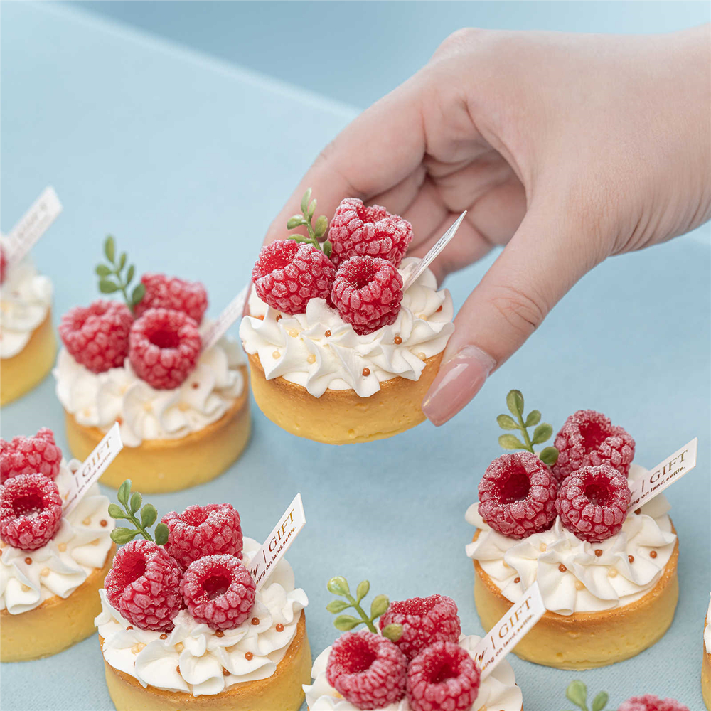 fake food dessert props shop s - The Wedding Supply Store 评论和价格